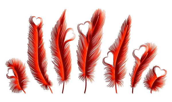 Ensemble Plumes Isolées Avec Des Coeurs Illustration Vectorielle Spe — Image vectorielle