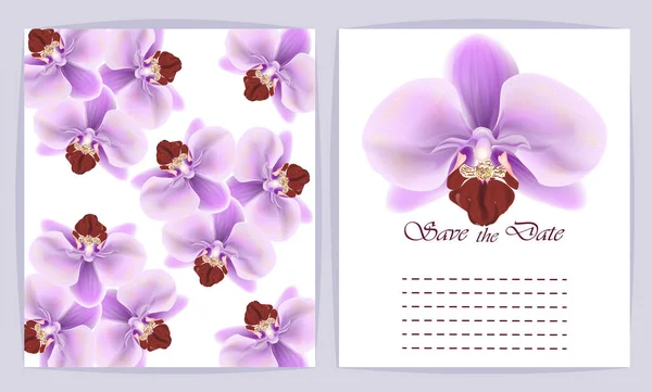 Schöner Hintergrund Mit Orchideenblumen Und Platz Für Text Vektorillustration Eps — Stockvektor