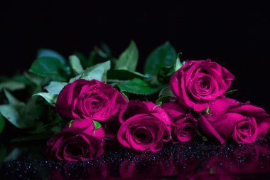 Pembe Gül siyah arka plan üzerine yalan