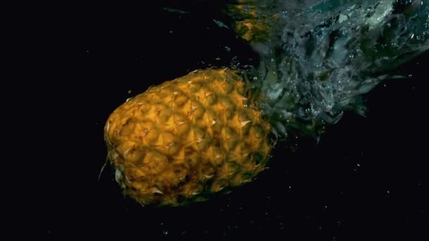 Pineapple in slow motion falling in the water — Stock Video