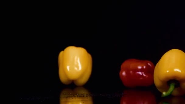 Pimentos coloridos sobre fundo branco — Vídeo de Stock