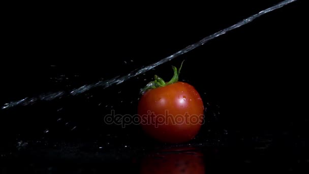 スローモーションでトマトと水ジェット — ストック動画