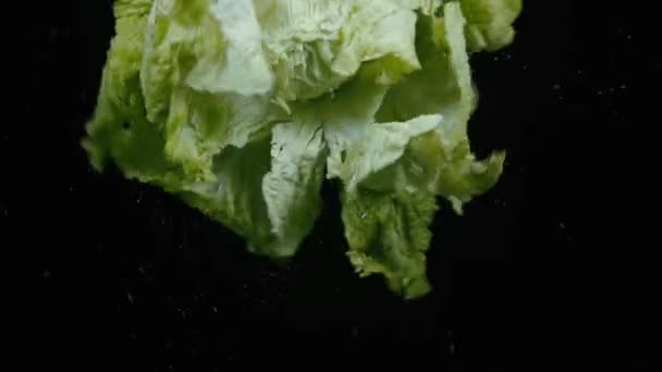 Leafy salad in slow motion — Stock Video