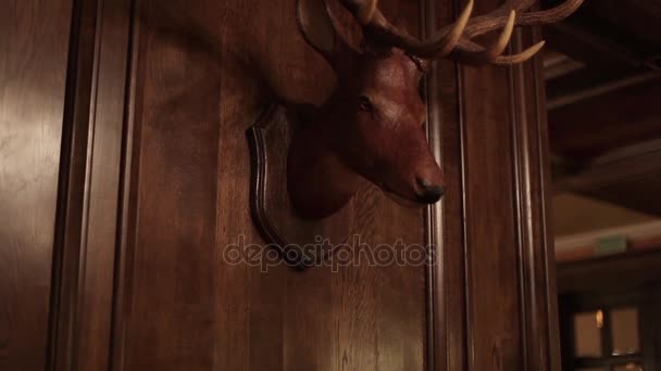 Cabeza de ciervo artificial en la pared — Vídeos de Stock