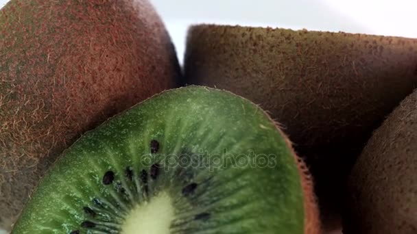 Close-up van kiwi spinnen — Stockvideo