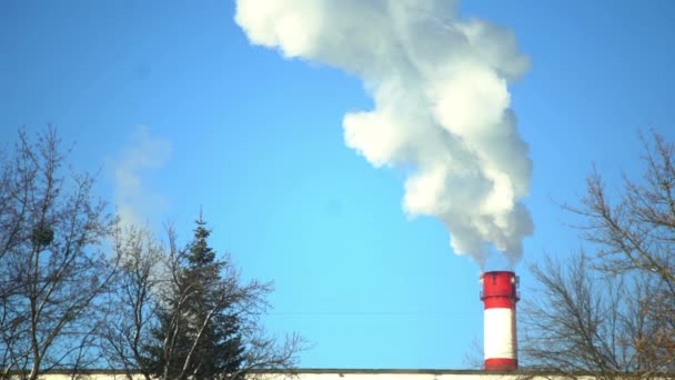 Humo de tuberías de fábrica — Vídeo de stock