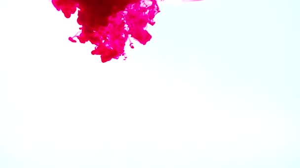 Rote Tinte in Wasser auf weißem Hintergrund — Stockvideo