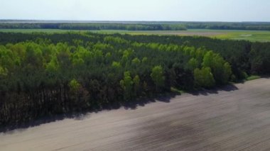 Yeşil orman üzerinde uçuş