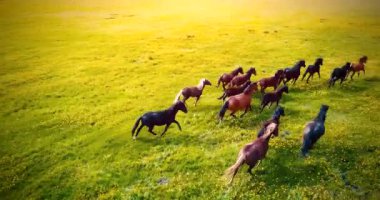 Neon tabela Motel ile ıslak cam arkasında bırakır