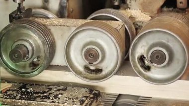 Ağaç işleme konveyör fabrikasında