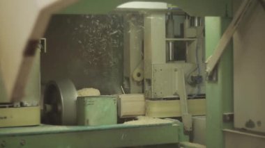 Ağaç işleme konveyör fabrikasında