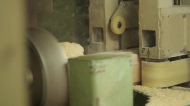 Ağaç işleme konveyör fabrikasında