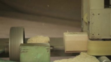Ağaç işleme konveyör fabrikasında