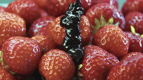 Erdbeere in Schokolade Nahaufnahme Plan — Stockvideo