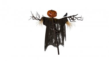 Alpha ile korkuluk chanel