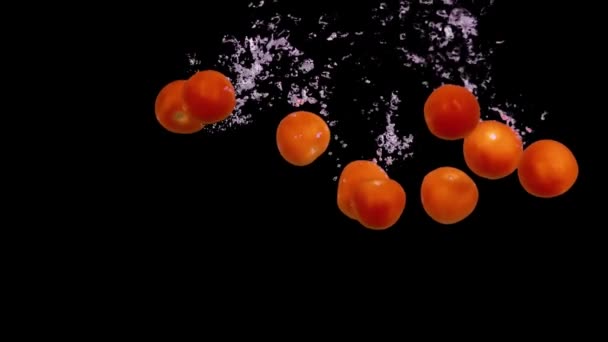 Falling tomatoes in water in slow motion — Stock Video