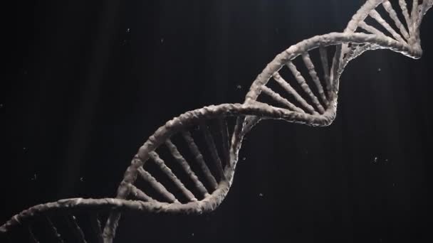 Estructura Moléculas DNK rotar lazo — Vídeo de stock