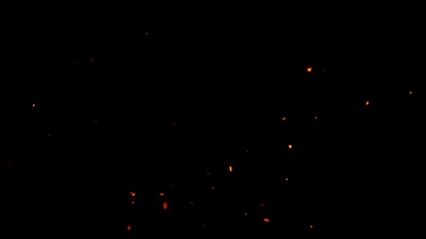 Flying faíscas de fogo brilhante com um fundo preto — Vídeo de Stock