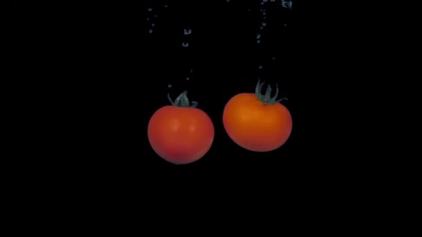Tomater i slow motion flyter i vatten — Stockvideo