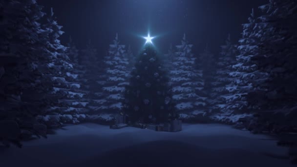 Julgran med en lysande stjärna och en krans i skogen med fallande snö — Stockvideo