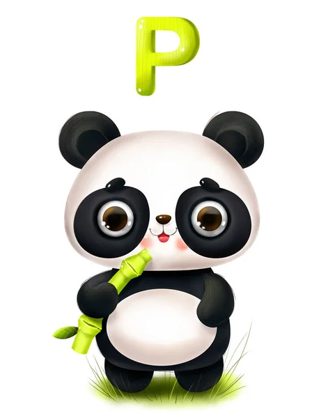 Cute cartoon panda with a bamboo and a letter of the alphabet