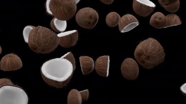 Noci di cocco cadenti con canale alfa — Video Stock