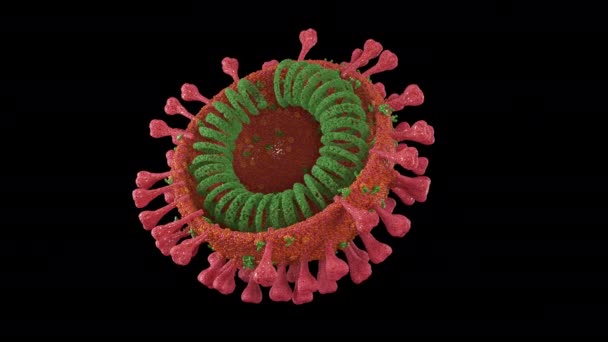 Coronavírus vermelho giratório com canal alfa — Vídeo de Stock