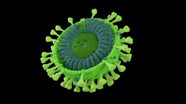 Draaiend groen coronavirus met alfa kanaal — Stockvideo