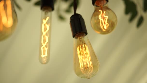 Edison lampen inleveren intreepupil. — Stockvideo
