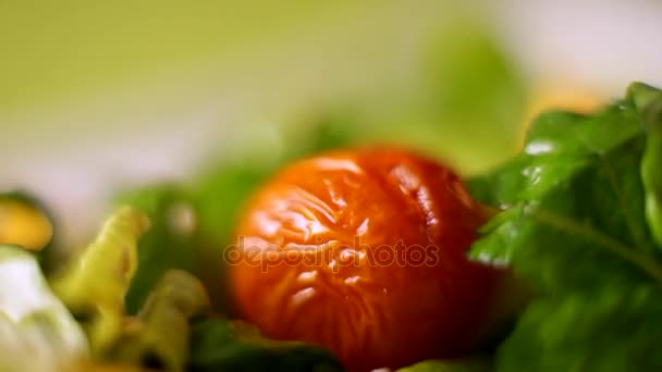 Tomate colocar as mãos na salada. Macro . — Vídeo de Stock