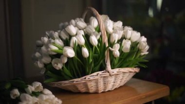 Sepet içinde Beyaz Lale. Arka planda, ortalama planı.