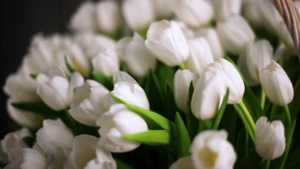 Fehér tulipánok, csokor kosár közelről. — Stock videók