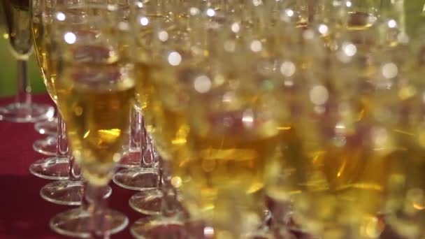 Many glasses of champagne on the table. Beautiful bokeh. — Stock Video