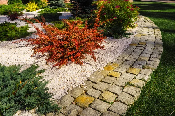 Güzel çiçekli çalılar ile güzel ön bahçe.