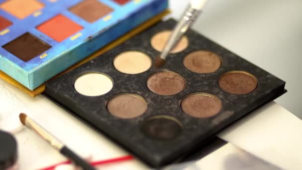 Un maquillador profesional recoge sombras en el pincel . — Vídeos de Stock