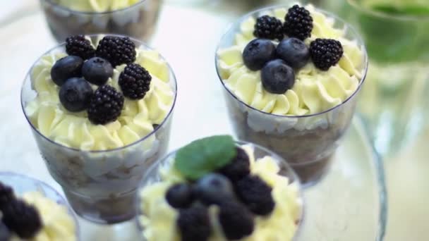 Desserttiramisu in Gläsern, dekoriert mit Brombeere und Minze. — Stockvideo