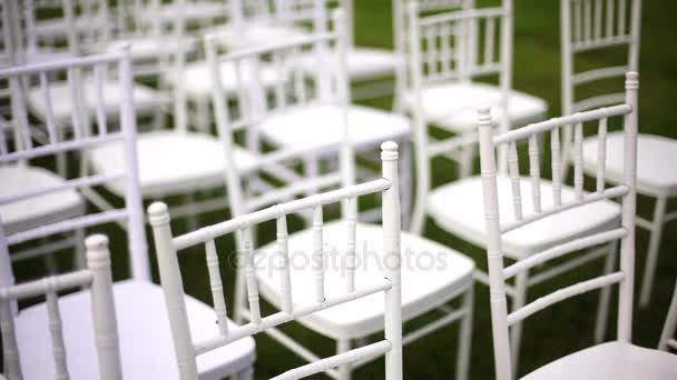 Sillas de boda blancas chiavari en un césped verde, sin decoración - — Vídeos de Stock