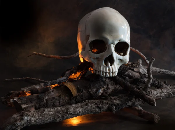 Crânio humano em fogo de madeira — Fotografia de Stock