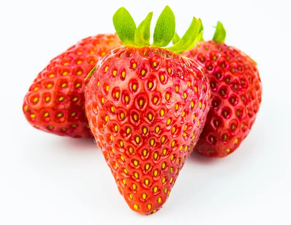 Strawberry primo piano isolato su bianco — Foto Stock