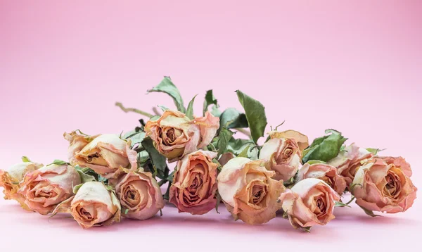 Pink background with peachy pink dried roses