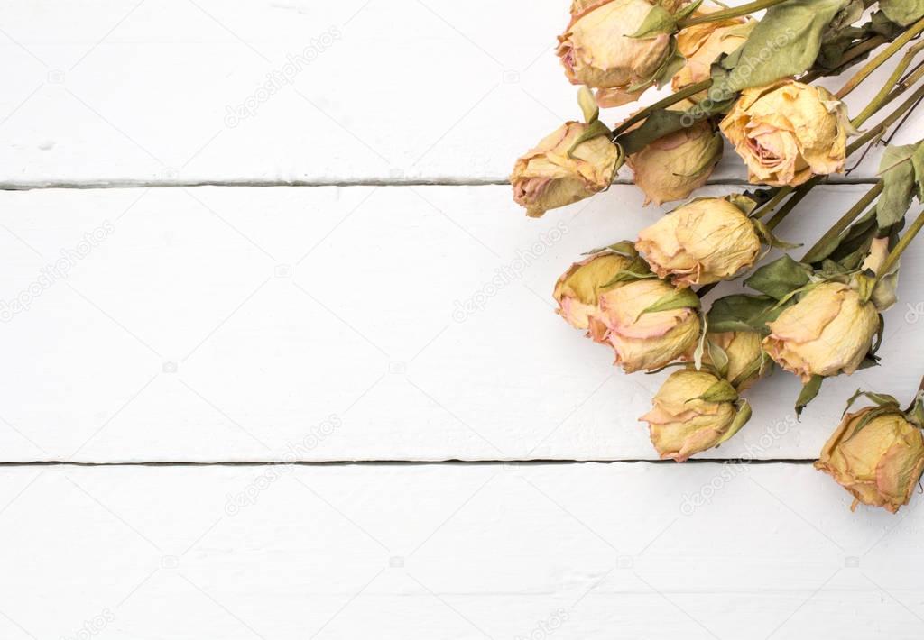 Dried peach rose flowers close up on white plank wooden background
