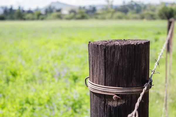 Verweerde houten hek post close-up naast groene weide - conceptuele afbeelding — Stockfoto