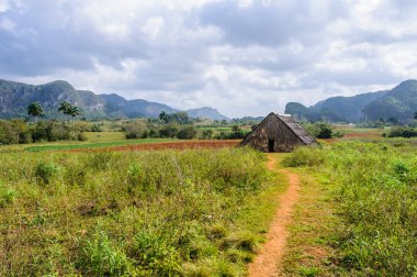 Küçük kulübe Vinales Valley, Küba