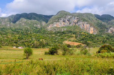Kırsal kesimde Vinales Valley, Küba