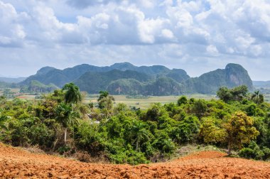 Kaya oluşumları Vinales Valley, Küba'da görünümünü