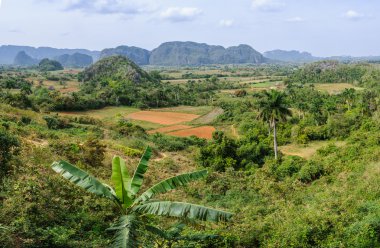 Panoramik Vinales Valley, Küba