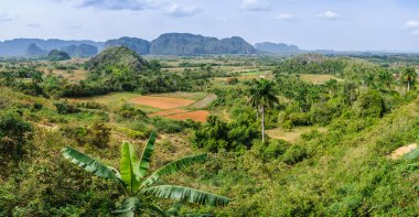Panoramik Vinales Valley, Küba