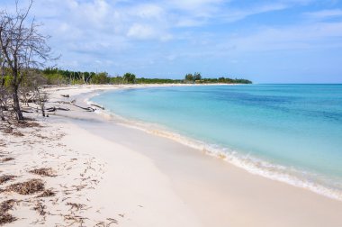 Küba'da Cayo Levisa adada beyaz kum plaj