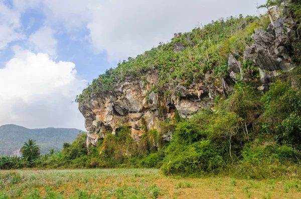 Formacje skalne w Vinales Valley, Kuba — Zdjęcie stockowe