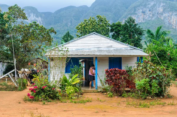 Bauernhof im vinales tal, kuba — Stockfoto